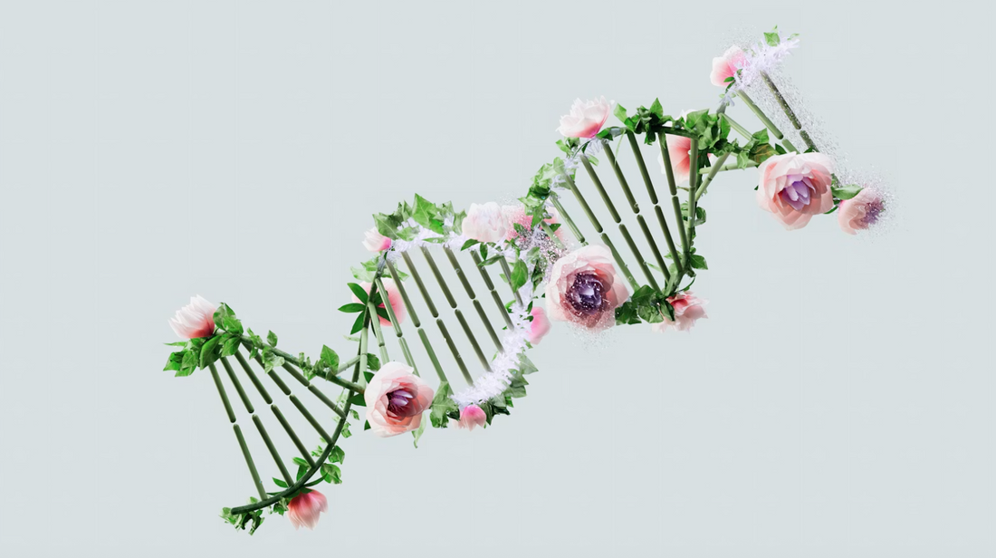What Peptides Actually Do to Your Skin (And Why Most People Get This Wrong)